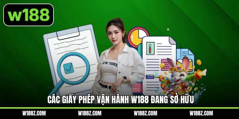 Các giấy phép vận hành W188 đang sở hữu